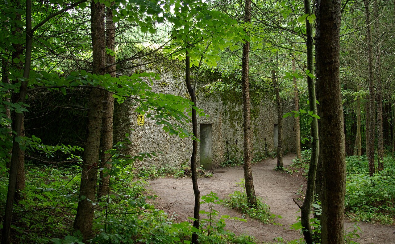 Mauerwald – Mamerki & Bernsteinzimmer